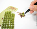 Tweezers Set
