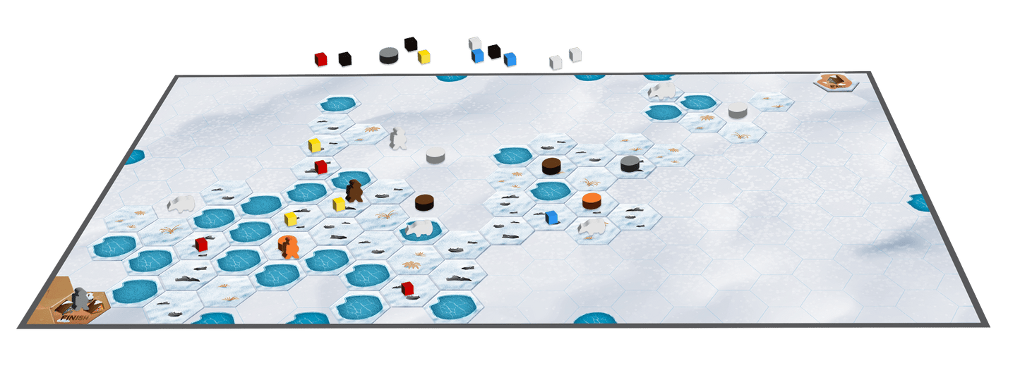 Ice Hike: Beware of the Bears