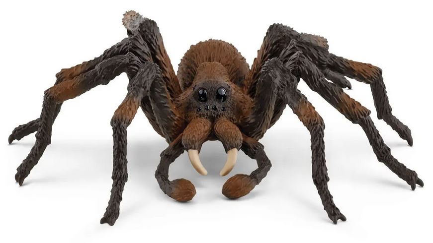 Aragog (Harry Potter)