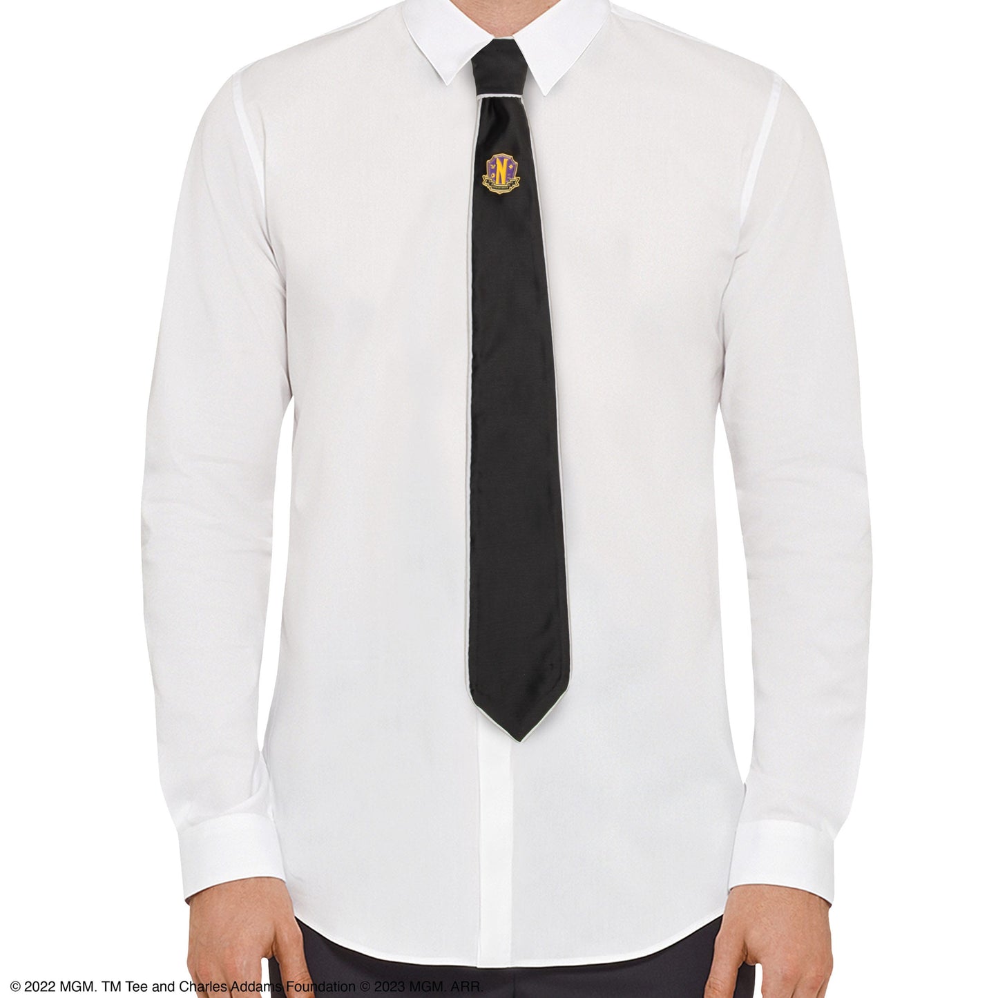 Wednesday Woven Necktie Nevermore Deluxe Edition
